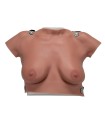 Breast palpation examination simulator