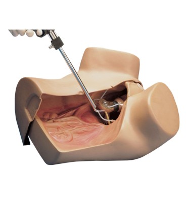 Manikin zOE® gynecological simulator | MMF.fr