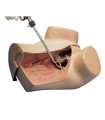 Manikin zOE® gynecological simulator