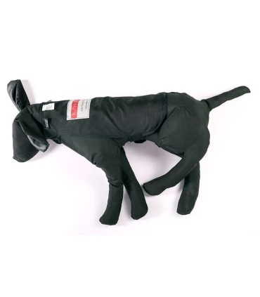 Manikin dog rescue and retrieval | MMF.fr