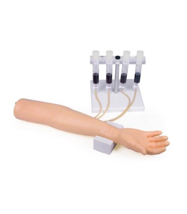 Training arm for intravenous injection and infusion | MMF.fr