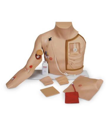 Catheter and vascular access training torso | MMF.fr