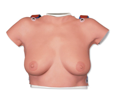 Modèle de buste de palpation mammaire