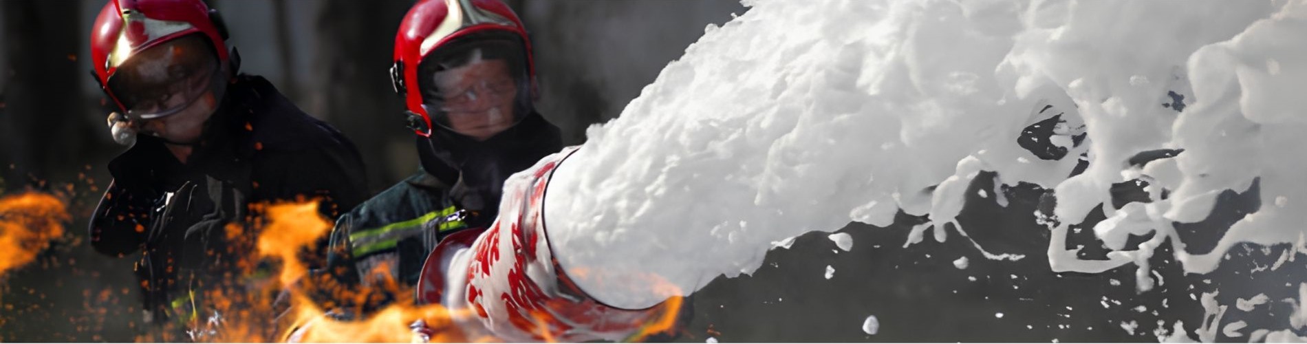 Servicio de bomberos